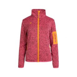 Kurtka polarowa damska termiczna SAMAUN W V3 z wysokim kołnierzem i kieszeniami. Brązowe kurtki IZAS, m, bez wzorów, z dzianiny, bez kaptura. Za 269.52 zł.