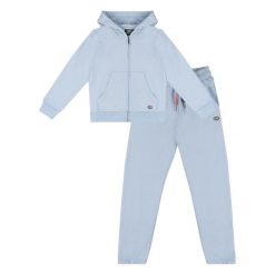 Bluza z bawełna z kaptur na co dzień na siłownię. Niebieskie bluzy z kapturem LEONE 1947 APPAREL, bez wzorów, z bawełny, bez kaptura, na fitness i siłownię. W wyprzedaży za 112.15 zł.