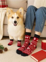 Zestaw: Skarpetki dla psa i właściciela - czerwony. Czerwone skarpetki Sinsay, bez wzorów. Za 15.99 zł.