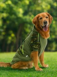 Paws&Whiskers Bluza w kolorze khaki dla psa rozmiar: 8XL. Brązowe bluzy Paws&Whiskers, xl, bez wzorów, bez ramiączek, bez kaptura. Za 130.95 zł.