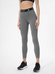 4F Legginsy 4FSS23TFTIF077 Szary Slim Fit. Szare legginsy 4f, bez wzorów, z syntetyku, sportowe. Za 79.99 zł.