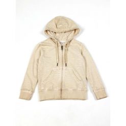 Bluza z bawełna z kaptur na co dzień na siłownię. Szare bluzy LEONE 1947 APPAREL, bez wzorów, z bawełny, bez kaptura, na fitness i siłownię. W wyprzedaży za 124.20 zł.