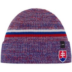 Czapka Eisbar Almut Country MÜ. Fioletowe czapki zimowe Eisbär, z aplikacjami, z polaru, sportowe. Za 219.90 zł.