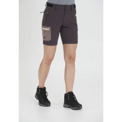 Spodenki damskie Whistler Globe Stretch. Szare szorty WHISTLER, bez wzorów. Za 199.99 zł.