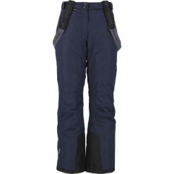 Spodnie narciarskie damskie Whistler Fairway W-PRO 10000. Niebieskie spodnie narciarskie WHISTLER, bez wzorów, narciarskie. Za 299.99 zł.