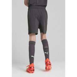 Młodzieżowe szorty AC Milan 24/25 PUMA Shadow Gray Fresh Mint Green. Szara szorty Puma, bez wzorów, młodzieżowe. W wyprzedaży za 114.00 zł.