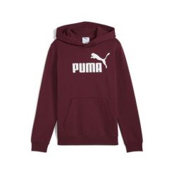 Młodzieżowa polarowa bluza z kapturem ESS z logo No. 1 PUMA Ruby Shimmer Red. Czerwona bluzy z kapturem Puma, m, bez wzorów, z dżerseju, z kapturem, do biegania. Za 159.00 zł.