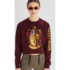 Bluza Harry Potter - Bordowy. Bluzy marki Sinsay. Za 59.99 zł.