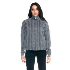 Bluza z zamek błyskawiczny na co dzień na siłownię. Szare bluzy LEONE 1947 APPAREL, bez wzorów, bez kaptura, na fitness i siłownię. W wyprzedaży za 164.19 zł.