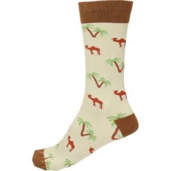Skarpety unisex. Szare skarpetki Gino Rossi, z bawełny. Za 19.90 zł.