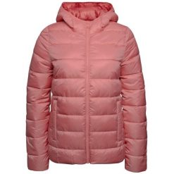 Kurtka turystyczna damska Down Jacket. Czerwone kurtki przejściowe sportowe Champion, m, bez wzorów, z poliesteru, z kapturem, trekkingowe. Za 281.40 zł.