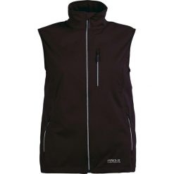 Kurtka damska Pro-X Elements Sina. Czarne kurtki przejściowe sportowe PRO-X ELEMENTS, bez wzorów, z materiału, bez kaptura, trekkingowe. Za 304.00 zł.