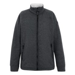 Damska Bluza Polarowa Emilde Z Pełnym Zamkiem Błyskawicznym. Szare bluzy bez kaptura Regatta, na zimę, bez wzorów, z polaru, bez kaptura. Za 103.99 zł.