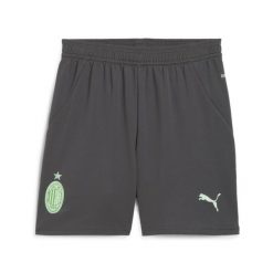 Młodzieżowe szorty AC Milan 24/25 PUMA Shadow Gray Fresh Mint Green. Szara szorty Puma, bez wzorów, młodzieżowe. W wyprzedaży za 114.00 zł.