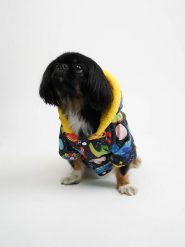 Paws&Whiskers Bluza ze wzorem dla psa rozmiar: S. Bluzy Paws&Whiskers, s, bez wzorów, bez ramiączek, bez kaptura. Za 91.99 zł.