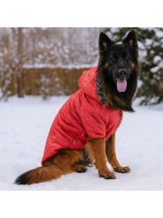 Paws&Whiskers Bluza w kolorze czerwonym dla psa rozmiar: 4XL. Czerwone bluzy Paws&Whiskers, xl, bez wzorów, bez ramiączek, bez kaptura. Za 108.99 zł.