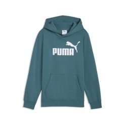 Młodzieżowa polarowa bluza z kapturem ESS z logo No. 1 PUMA. Szara bluzy z kapturem Puma, m, bez wzorów, z dżerseju, z kapturem, do biegania. Za 149.00 zł.