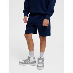 Szorty regulowane dla dzieci Hummel Clean. Niebieskie szorty Hummel, bez wzorów, z bawełny, sportowe. Za 130.50 zł.