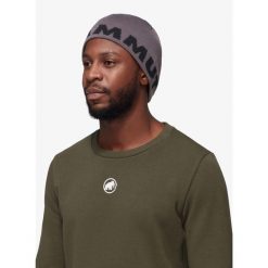 Czapka zimowa Mammut Logo Beanie - steel/black. Szare czapki zimowe Mammut, bez wzorów, sportowe. Za 177.99 zł.