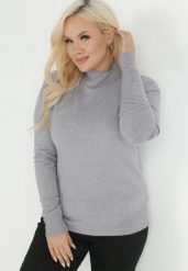 Szary Golf Dzianinowy z Długim Rękawem Dasso. Szare swetry Born2be, plus size, bez wzorów, z dzianiny, plus size, bez ramiączek. W wyprzedaży za 67.99 zł.