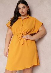 Żółta Sukienka Koszulowa Wiązana w Pasie z Krótkimi Rękawami Wellwood. Żółte sukienki Renee, na imprezę, l, bez wzorów, z tkaniny, bez kołnierzyka, plus size, bez ramiączek, midi, koszulowe. W wyprzedaży za 67.99 zł.