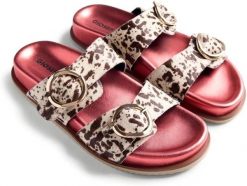 Obuwie damskie Gioseppo CARNEY Red (78025-P-Red). Czerwone buty treningowe Gioseppo, bez wzorów, bez zapięcia. Za 309.00 zł.