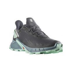 Buty turystyczne damskie Salomon Alphacross 4 Gtx. Szare buty do biegania Salomon, bez wzorów, bez zapięcia, do biegania. W wyprzedaży za 388.10 zł.