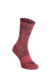 Skarpety merino damskie Ortovox Alpine Pro Comp Mid Socks. Czerwone skarpetki ORTOVOX, bez wzorów, z materiału. Za 141.79 zł.