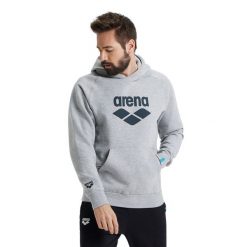 Bluza Arena Hooded Sweat Logo z kapturem. Szare bluzy Arena, l, bez wzorów, sportowe, bez ramiączek, z kapturem. Za 351.99 zł.