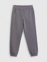 4F Spodnie dresowe joggery damskie - szare XS. Szare spodnie sportowe 4f, bez wzorów, z dresówki. Za 129.99 zł.