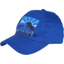 Czapka z daszkiem dla dorosłych Regatta Cuyler III. Niebieskie czapki z daszkiem Regatta, bez wzorów, z bawełny. Za 52.00 zł.