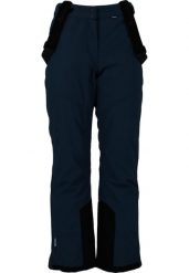 Spodnie narciarskie dla kobiet Whistler Drizzle Pro. Brązowe spodnie narciarskie WHISTLER, bez wzorów, z poliesteru, narciarskie. Za 319.99 zł.