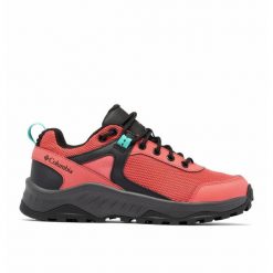 Buty Trailowe Damskie Columbia Trailstorm Ascend Wp. Brązowe buty do biegania Columbia, bez wzorów, bez zapięcia, do biegania. Za 420.99 zł.