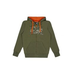 Bluza z bawełna z kaptur na czas wolny na co dzień. Zielone bluzy LEONE 1947 APPAREL, bez wzorów, z bawełny, sportowe, bez ramiączek, bez kaptura. W wyprzedaży za 124.20 zł.