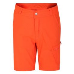 Shorty Dziecięce Reprise II. Brązowe szorty Dare 2b, bez wzorów, sportowe. Za 62.99 zł.