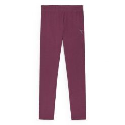 Legginsy damskie DIADORA L.LEGGINGS CORE. Fioletowe bielizna termoaktywna damska Diadora, bez wzorów, sportowe. Za 49.99 zł.