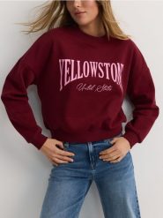 Bluza oversize z nadrukiem - bordowy. Czerwone bluzy Reserved, l, bez wzorów, z bawełny, bez ramiączek, bez kaptura. W wyprzedaży za 39.99 zł.