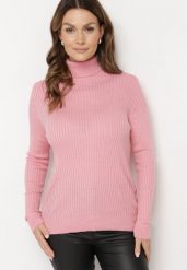 Ciemnoróżowy Golf w Prążki Allelina. Czerwone swetry Born2be, m, bez wzorów, z jeansu, eleganckie, bez ramiączek. W wyprzedaży za 67.99 zł.
