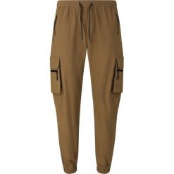 Damskie spodnie dresowe Whistler Portus. Brązowe spodnie dresowe WHISTLER, bez wzorów, z dresówki, długie. Za 276.50 zł.