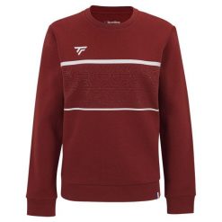 Bluza damska Tecnifibre Team. Białe bluzy z kapturem TECNIFIBRE, na zimę, s, bez wzorów, z bawełny, bez kaptura. Za 199.00 zł.