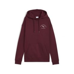 Damska bluza z kapturem PUMA Class o luźnym kroju PUMA Ruby Shimmer Red. Czerwone bluzy Puma, bez wzorów, z kapturem, do biegania. Za 269.00 zł.