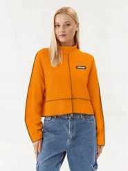 BLUZA DAMSKA ELLESSE BOXY OVERSIZE ZE STÓJKĄ POMARAŃCZOWA KOLOR POMARAŃCZOWY. Brązowe bluzy bez kaptura Ellesse, l, bez wzorów, z bawełny, bez kaptura, do biegania. Za 139.00 zł.
