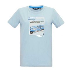 Koszulka Damska Filandra VX Scenery T-shirt. Niebieskie t-shirty Regatta, bez wzorów, casualowe, bez kołnierzyka, bez ramiączek. Za 67.99 zł.