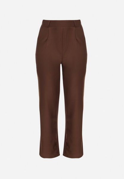 Brązowe Spodnie z Bawełną o Szerokim Kroju z Wysokim Stanem Danniva. Brązowe jeansy Born2be, na jesień, plus size, bez wzorów, z bawełny, biznesowe, z podwyższonym stanem. Za 69.99 zł.