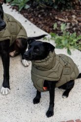 Płaszcz dla psa Kentucky Pina. Niebieskie płaszcze KENTUCKY HORSEWEAR, na jesień, l, bez wzorów, z gumy, bez kaptura. Za 541.50 zł.
