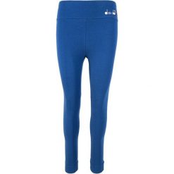 Legginsy damskie DIADORA L.LEGGINGS SPOTLIGHT. Fioletowe legginsy Diadora, bez wzorów, z bawełny. Za 49.99 zł.