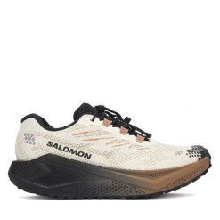 Buty do biegania Salomon. Brązowe buty do biegania Salomon, bez wzorów, z gore-texu, bez zapięcia, do biegania, gore-tex. Za 689.99 zł.