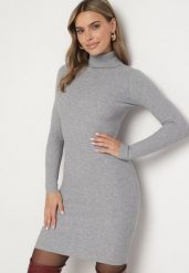Szara Dopasowana Sukienka z Prążkowanej Dzianiny z Golfem Seralinda. Szare sukienki Born2be, na co dzień, l, bez wzorów, z dzianiny, klasyczne, bez kołnierzyka, bez ramiączek, midi, dopasowane. W wyprzedaży za 67.99 zł.