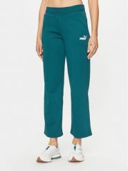 Puma Spodnie dresowe Ess+ 676093 Zielony Regular Fit. Zielone spodnie dresowe Puma, bez wzorów, z bawełny. Za 139.99 zł.