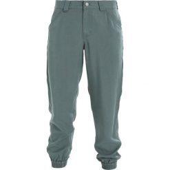 Patagonia EDGE WIN JOGGERS Spodnie materiałowe pesto. Spodnie sportowe marki Patagonia. Za 509.00 zł.